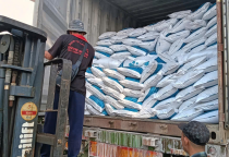Dịch vụ bốc xếp cảng Cát Lái Quận 2: Bảng giá và quy trình 2026