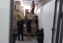 Bốc xếp tại KCN Việt Hương Bình Dương – Dịch vụ chuyên nghiệp tại Thuận An