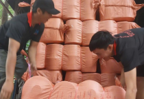 Dịch Vụ Bốc Xếp Hàng Hóa Là Gì? Đồng Hành Cùng Doanh Nghiệp Trong Quá Trình Vận Hành Logistics