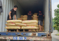 Bốc Xếp Hàng Hoá Tại Bình Dương