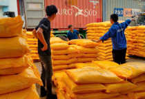 Bốc Xếp Hàng Hoá Tại KCN Linh Trung - Thủ Đức