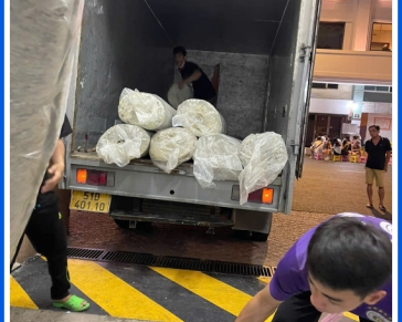Bốc xếp giá rẻ khu vực Tân Uyên – Uy tín, tiết kiệm chi phí