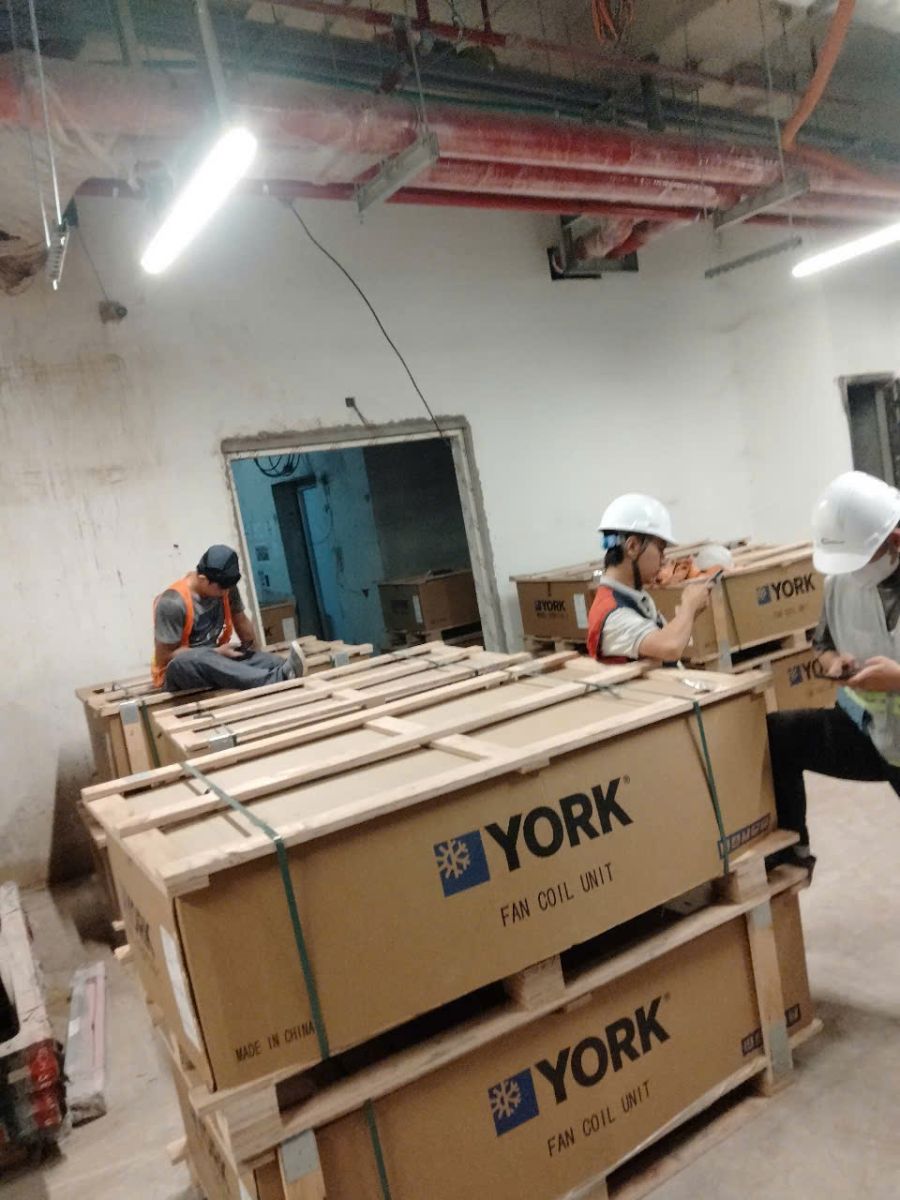 bốc xếp hàng hoá tại thủ đức