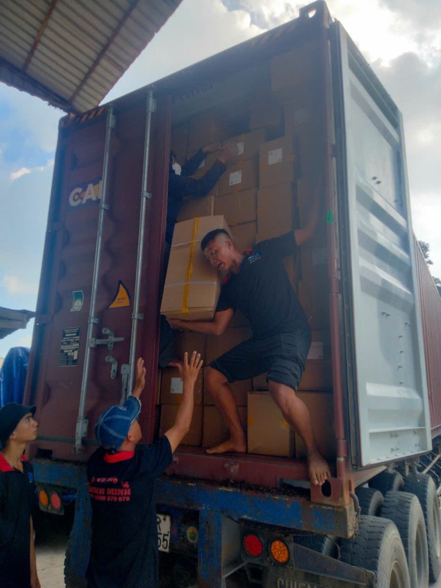 Dịch Vụ Bốc Xếp Chuyên Nghiệp Tại Bình Dương