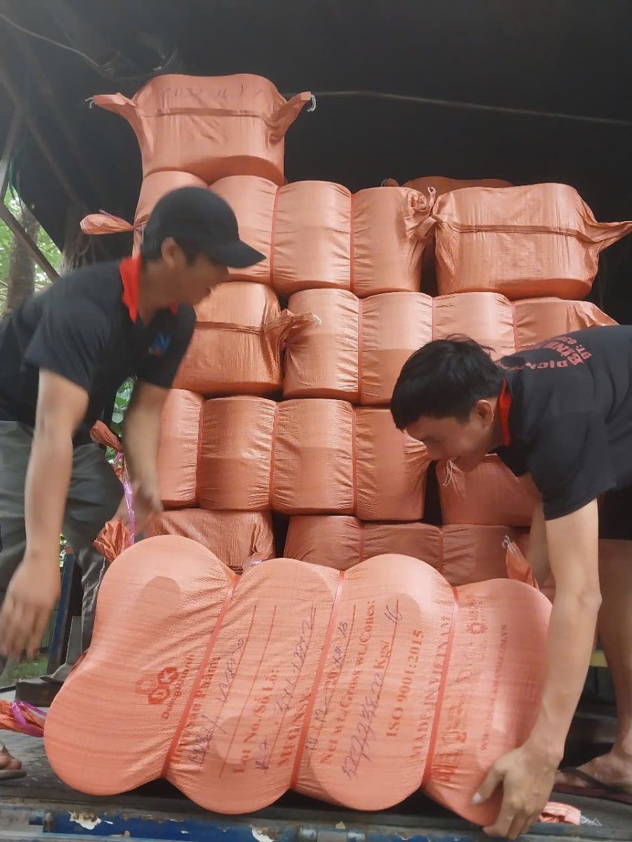 Dịch Vụ Bốc Xếp Hàng Hóa Là Gì