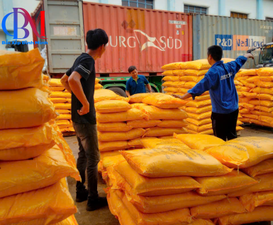 Dịch Vụ Bốc Xếp Theo Giờ Bình Minh– Giải Pháp Nhân Công Linh Hoạt Tại Bình Dương & TP.HCM